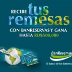 300×250 Rayadito
