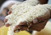 Comerciantes denuncian arroz ha subido 12% en cinco meses sin justificación Arroz.