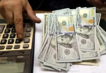 Banco Central inyectará 200 millones de dólares entre diciembre y enero para suplir demanda Dólares.